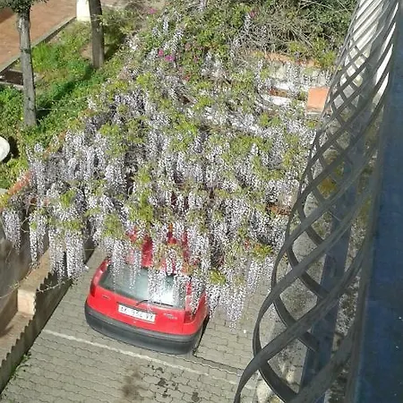 Apartment Orthilippa *
