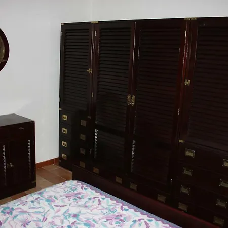 Orthilippa Orosei